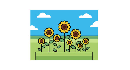 Fototapeta premium International Sunflower Festival Showcases Vibrant Blooms in Green Field