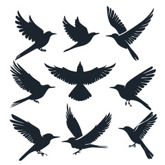 Fototapeta premium Collection of flying bird silhouettes isolated on white background with silhouette wildlife collection isolated illustration elements wingspan migration ornament creative blackwork creature