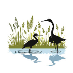 Fototapeta premium Pair of wading birds in a grassy wetland habitat with silhouette wildlife landscape waterbird environment outdoors reflection illustration ecosystem birdlife ornithology standing marshland