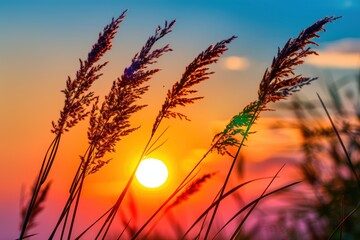 Obraz premium Tall grass silhouettes frame a vibrant sunset with a glowing sun, blending warm orange and cool blue tones in the sky.