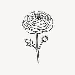 Fototapeta premium Elegant floral line art illustration.