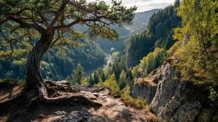 Fototapeta premium A breathtaking landscape featuring a majestic tree overlooking a lush valley. The scene captures serene nature with vibrant green foliage. Ideal for nature lovers and travel enthusiasts. AI