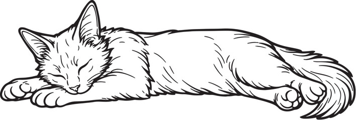 Somali cat sleeping stretched out line art illustration, relaxed Somali cat side view outline vector © luu
