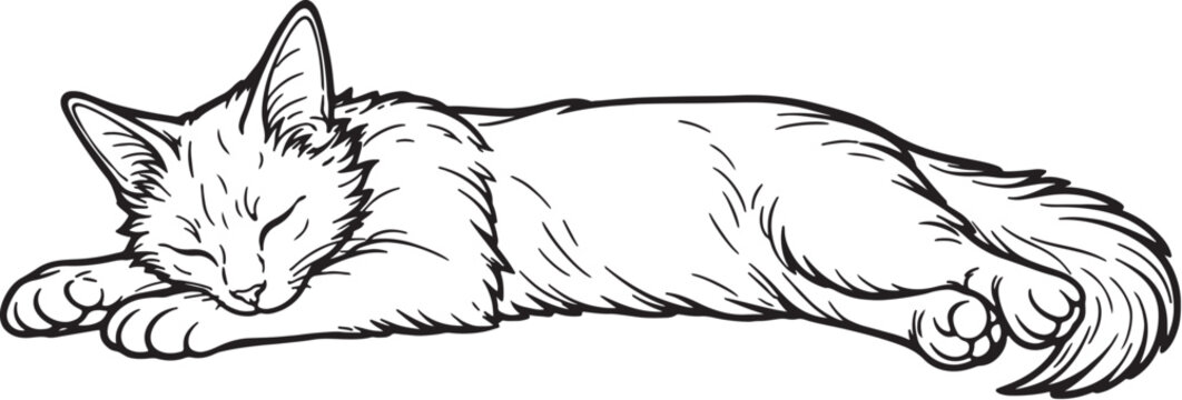 Somali cat sleeping stretched out line art illustration, relaxed Somali cat side view outline vector