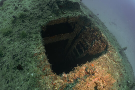 Sunken History: Encrusted Hull of the Jupiter Wreck Trek Artificial Reef, Florida