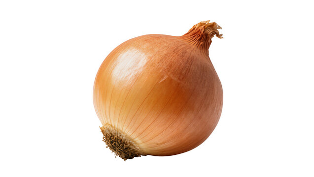 Whole brown onion with dry papery skin, isolated on transparent background