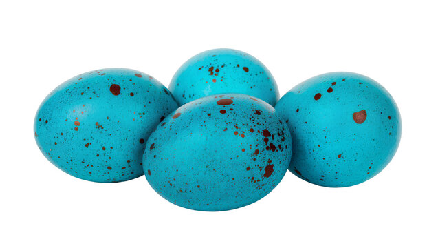 Four speckled robin eggs vibrant blue with brown spots, isolated on transparent background