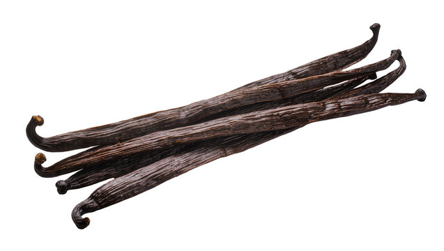 Dark brown dried vanilla bean pods, isolated on transparent background