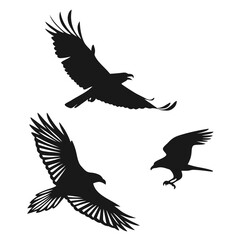 Obraz premium A set of three black silhouettes of birds in flight on a white background
