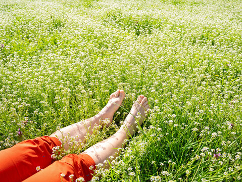 Person relaxing in nature on spring grass with flowers outdoors