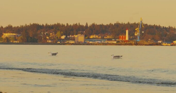 Historic lighthouse and industrial crane on coastal horizon at sunset