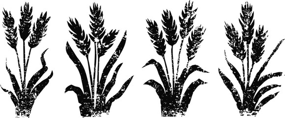 Fototapeta premium wheat ears silhouette set black grain spikelets with leaves agricultural crop symbol of harvest and farming