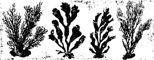 Fototapeta premium Black silhouette illustrations of different types of seaweed and underwater plants