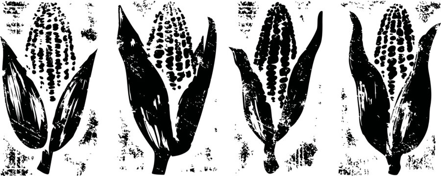 four black and white corn illustrations with husks in vintage ink
