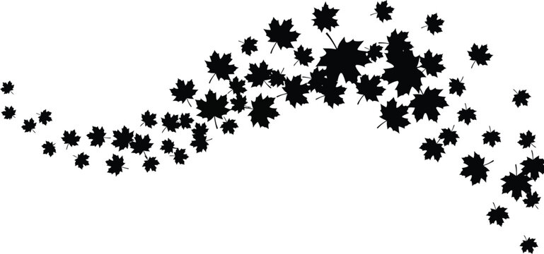 Falling maple leaves in a wavy pattern on a white background in a vector graphic illustration