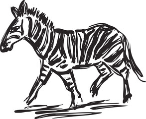 Naklejka premium hand drawn zebra sketch in black ink wild animal illustration with distinct stripes and natural pose minimalistic wildlife art