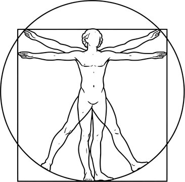 Human Proportions Diagram Outline Figure in Circle and Square Vector