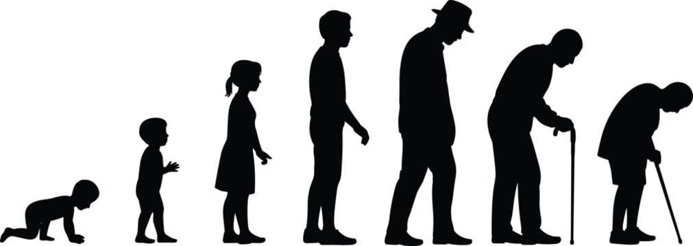 Human life cycle silhouette from baby to elderly, aging process concept, stages of growth and development, lifespan progression isolated on white background illustration