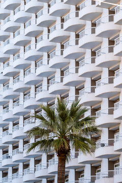 Facade of a residential apartment building in spain with a palm beside repeating balconies pattern and strong symmetry in modern architecture