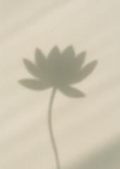 Fototapeta premium Minimalist shadow lotus elegance