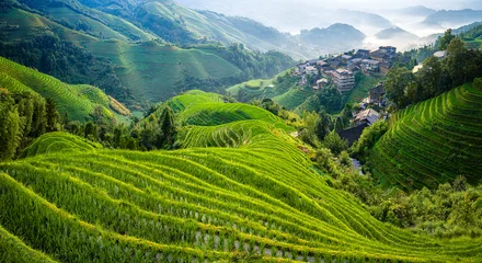 Fototapeten Reisfelder Lush green rice terraces and traditional ethnic minority village houses in Longji, Guilin, China.  © zhao dongfang