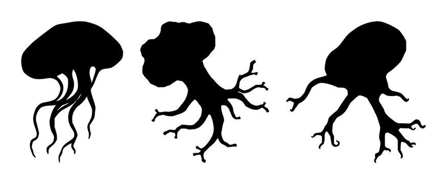 Microscopic amoeba set with hand-drawn organic shapes and delicate line work featuring amoeba, microscopic, hand-drawn with white background and organic illustration