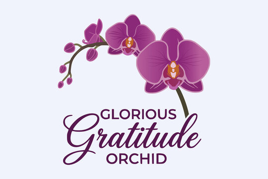 Glorious Gratitude Orchid &ndash; Elegant Floral Illustration Design