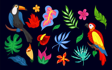 Fototapeta premium Tropical flower. Summer sticker. Exotic bird, colorful parrot, toucan. Leaf monstera, plant leaves. Jungle palm. Watercolor floral. Vector tidy forest characters cartoon flat isolated illustration
