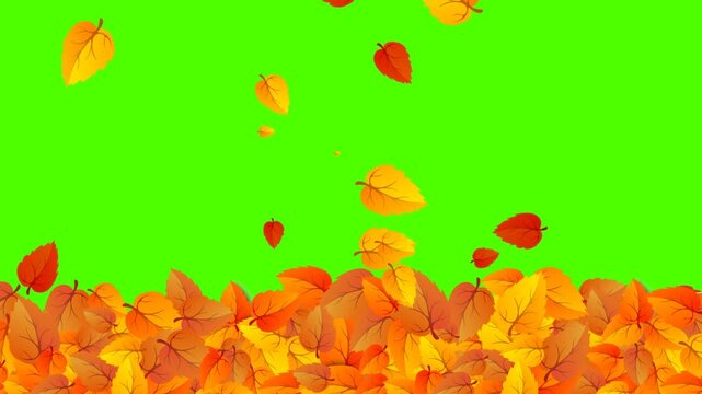 Yellow autumn leaves fly across a green screen chroma key. Cartoon animation of autumn, leaf fall, alpha channel