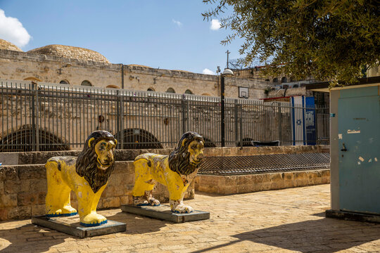 Jerusalem, Israel, Two whimsical yellow lion statues with , stand on stone pavement near a metal fence and historic buildings at Mahse Square, in the area of Beit Mahseh and Beit Rothschild.