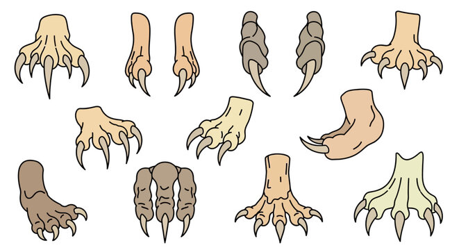Collection of monster feet with claws.