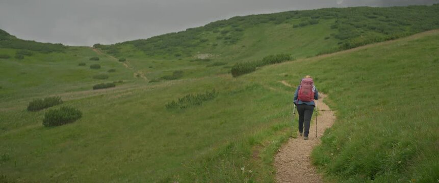 Backpacker hiking along winding path across green mountain meadow