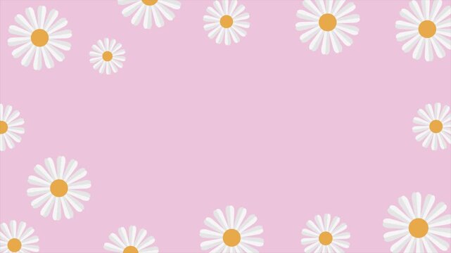 Cute white daisy flowers frame background with copy space on pastel pink.