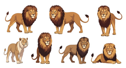Collection set flat style vector illustration of lions in various poses, wild animals isolated, king of jungle concept, strong feline characters design © Amie