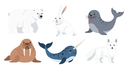 Collection set flat style vector illustration of arctic animals including seal, walrus, narwhal, polar bear and fox, cold wildlife characters isolated © Amie