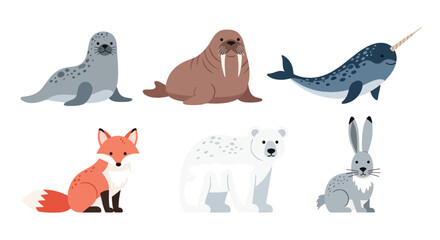 Collection set flat style vector illustration of arctic animals including seal, walrus, narwhal, polar bear and fox, cold wildlife characters isolated © Amie