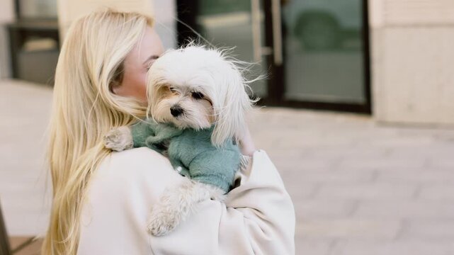 4K slow motion horizontal video close up of cute Maltese dog in owner&rsquo;s woman arms outdoors in city. Cute fluffy pet portrait, tenderness, emotional connection, urban lifestyle.