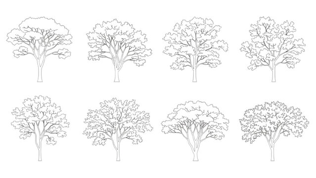 Set of eight different tree outlines on white background, nature's diverse forms