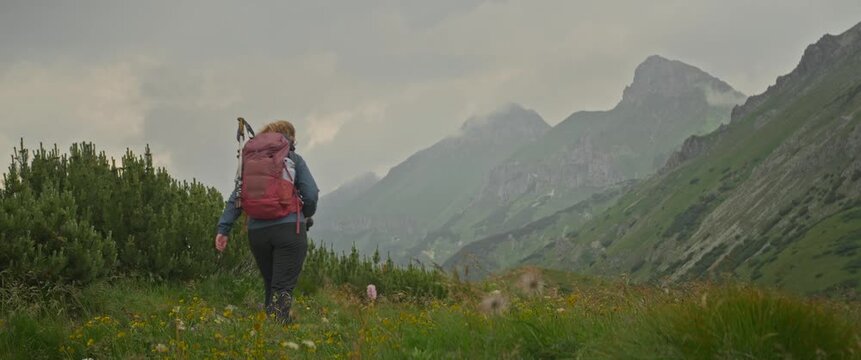 Backpacker standing on mountain ridge overlooking rugged peaks and valley