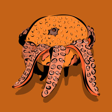 Orange Sean fruit