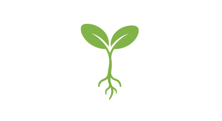 Obraz premium Green plant sprout with leaves growing.