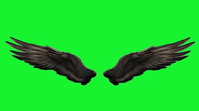 Angel Wing Butterfly Wings Glowing Feather Devil Wings Flying 3d Animation Green Screen Chroma Key Alpha Channel. 4k Video