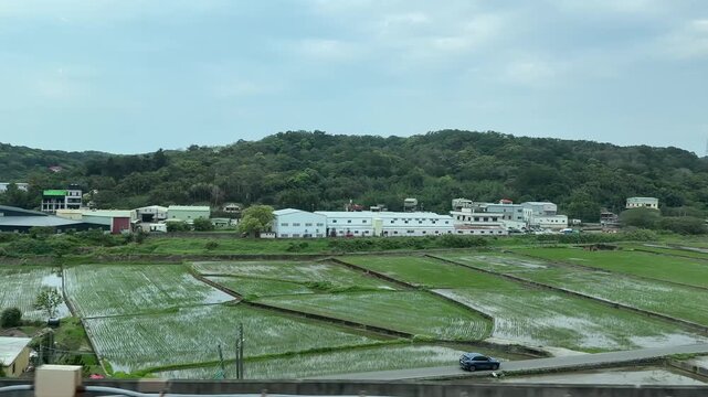 台湾の桃園空港から台北へ向かう鉄道の車窓からの田園風景