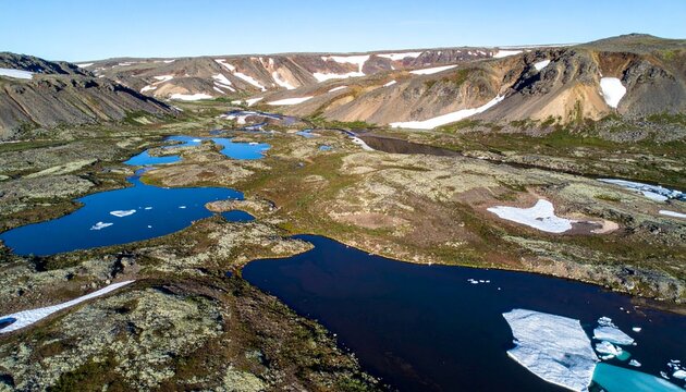 aerial drone view of arctic tundra with polygon melt pools in summer sunlight