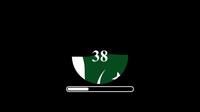 Pakistan Flag Loading Animation &ndash; Modern UI Loading Screen Loop