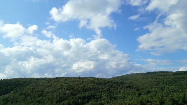 Aerial View Of Pine Forest Under Billowing Clouds, Cinematic Drone Broll For Conservation Survey, Morning