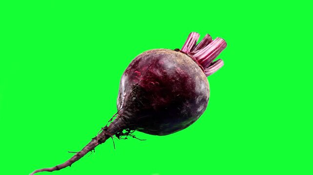 A vibrant, raw whole beetroot with leaves, captured in high quality against a chroma key green background for easy editing and compositing.