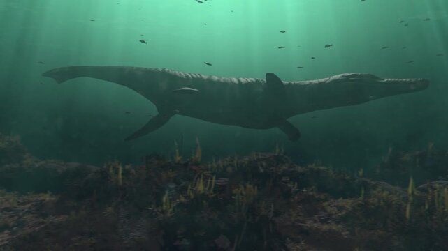 4K 12-second underwater 3d animation of Kronosaurus hunting in a deep prehistoric ocean. Realistic depiction of marine reptiles swimming through a school of fish in ancient waters