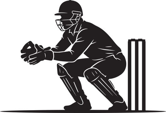 Baseball catcher in ready position with stumps during game silhouette