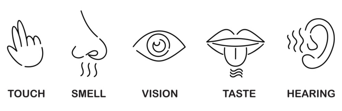 Five Senses Icons: Touch, Smell, Vision, Taste, Hearing - Basic Icons
